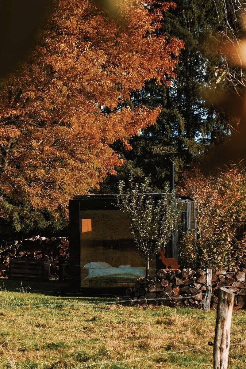 écolodge vue de face automne