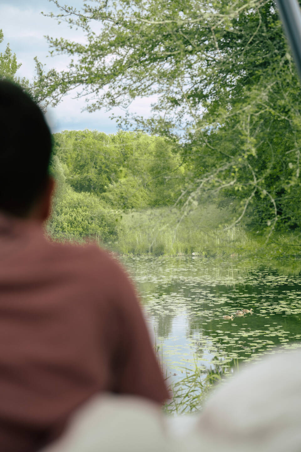 Personne regardant un étang