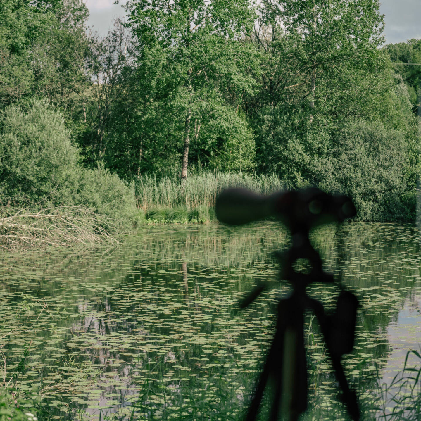 Lunette devant étang